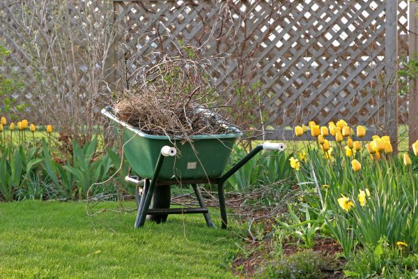 Flower Bed Cleanup Service in Odessa