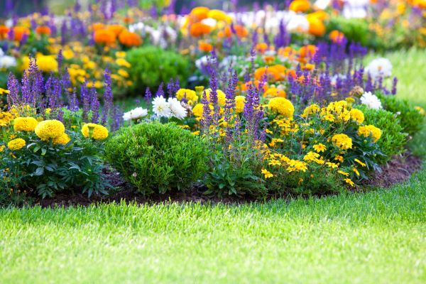 Flower Bed Maintenance in Odessa
