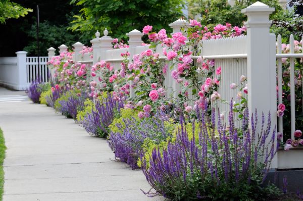 Garden Handyman Service in Odessa