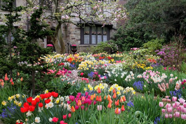 Garden Maintenance Service in Odessa