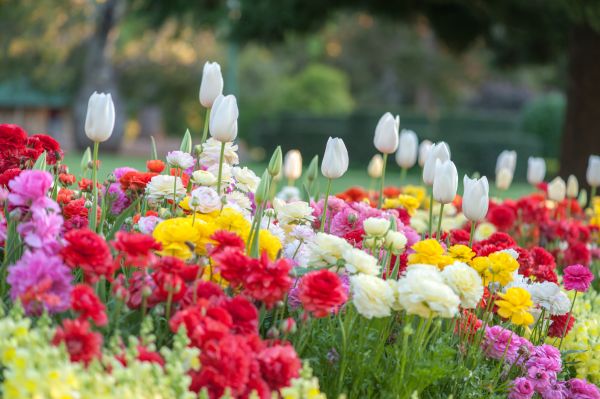 Gardening Service in Odessa