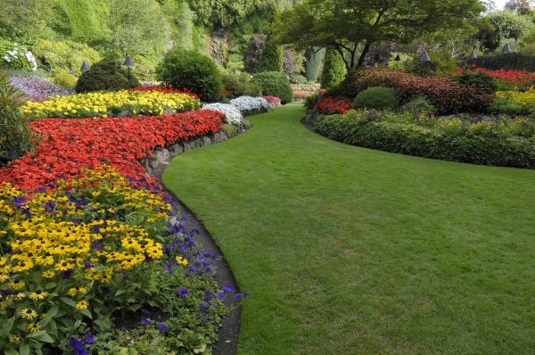 Landscaping Maintenance in Odessa