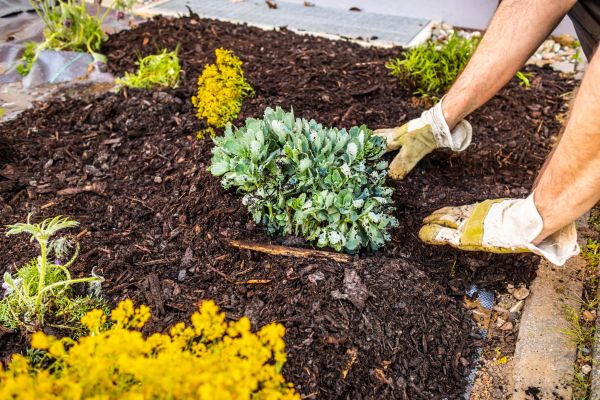 Weeding And Mulching in Odessa