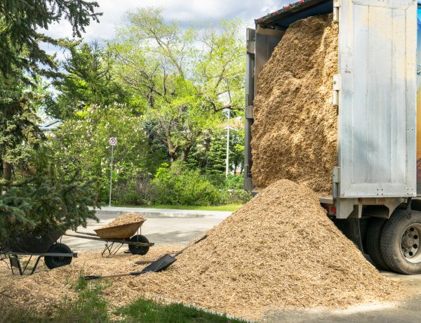 Wood Chips Delivery in Odessa