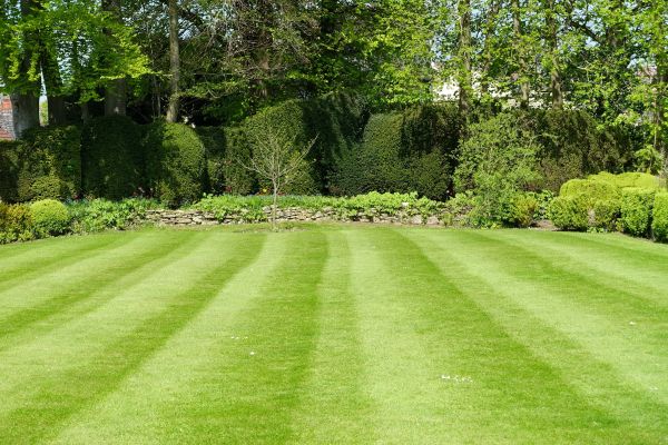 Lawn Renovation in Odessa