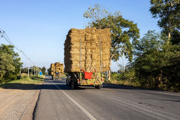 Pine Straw Delivery in Odessa
