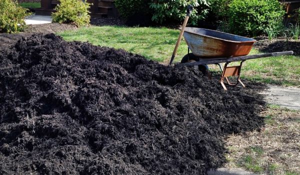 Black Mulch Delivery in Odessa