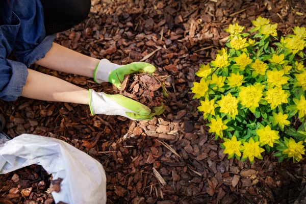Garden Mulching in Odessa