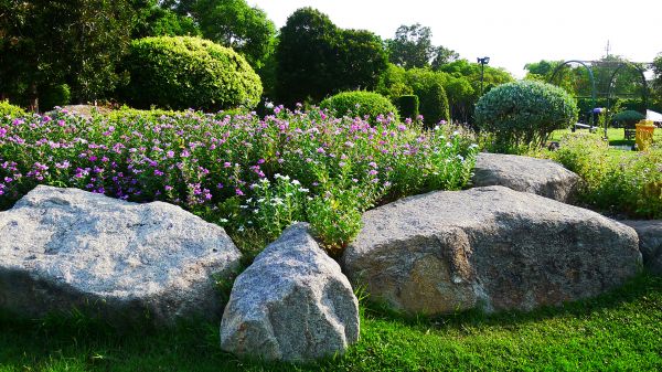 Boulder Landscaping in Odessa