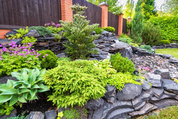 Landscape Remodeling in Odessa