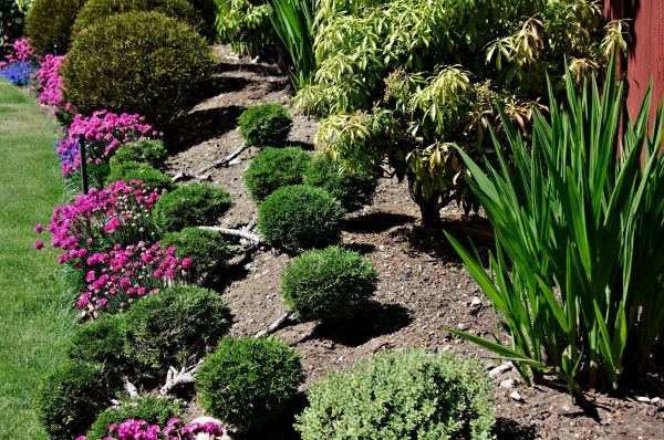 Residential Gardening in Odessa