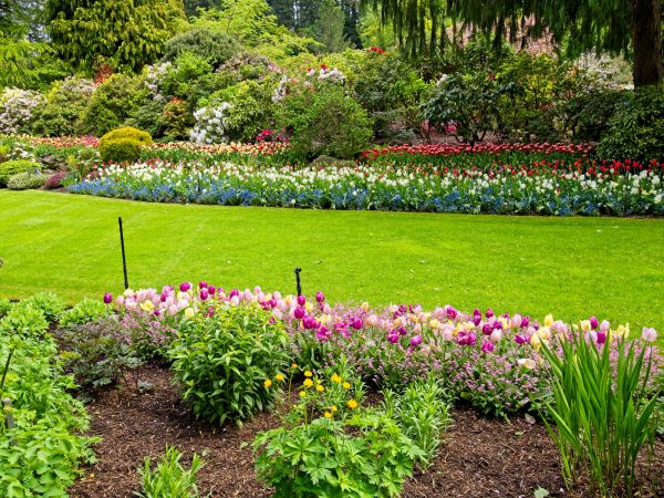 Residential Landscape Design in Odessa