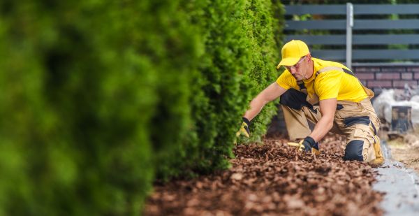 Cypress Mulch Installation in Odessa
