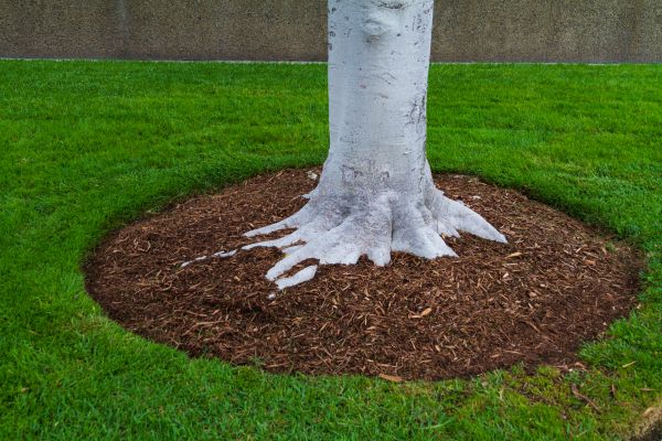 Brown Mulch Installation in Odessa