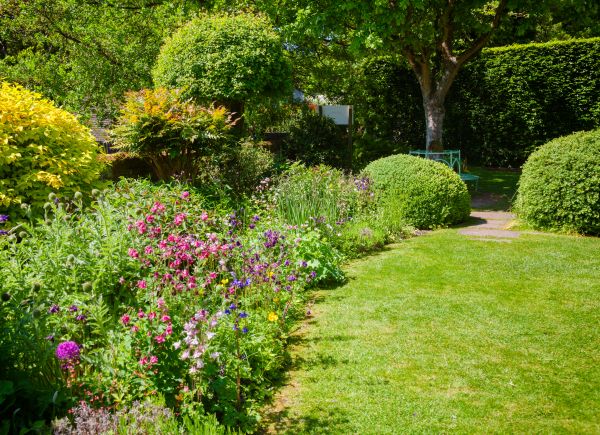 Yard Landscaping Service in Odessa
