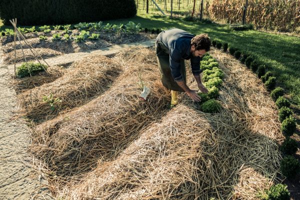 Straw Mulching Service in Odessa