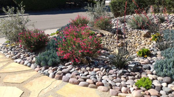 Xeriscape Landscaping in Odessa