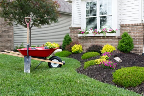 Tree And Shrub Planting in Odessa