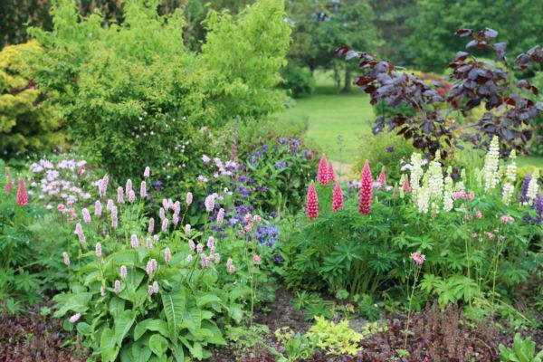 Flower Bed Planting in Odessa