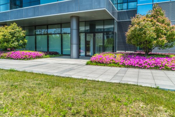 Commercial Gardening in Odessa