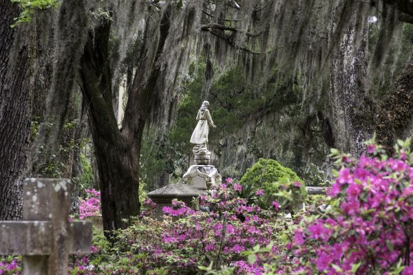 Cemetery Landscaping in Odessa