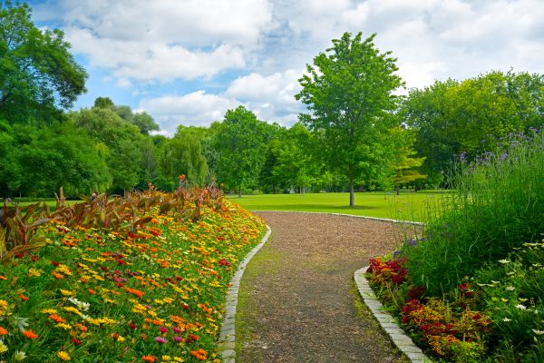 Park Landscaping in Odessa