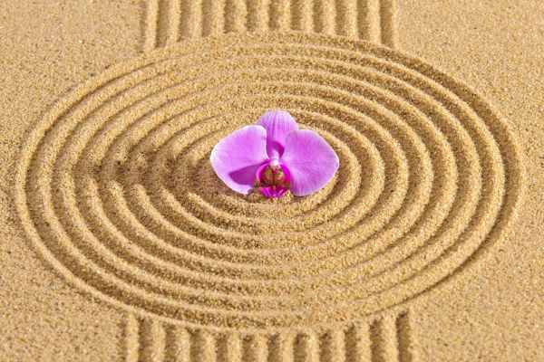 Sand Garden Landscaping in Odessa
