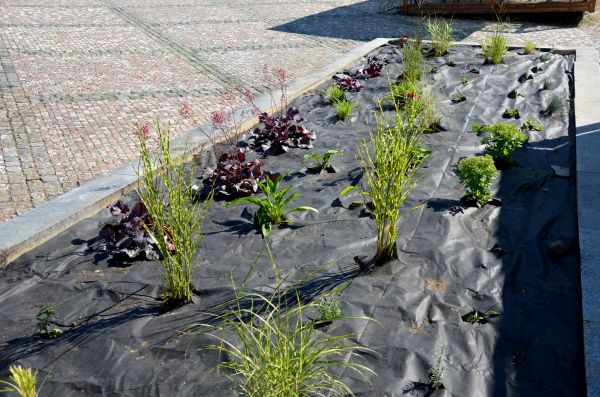 Landscape Fabric Installation in Odessa