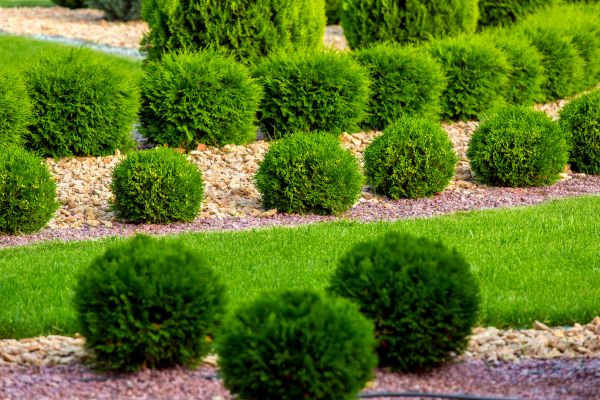 Bush Installation in Odessa