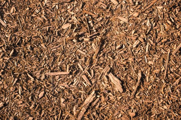 Wood Chips Removal in Odessa
