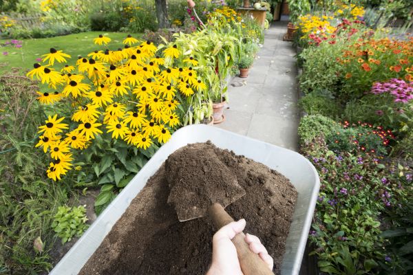 Topsoil Replacement in Odessa