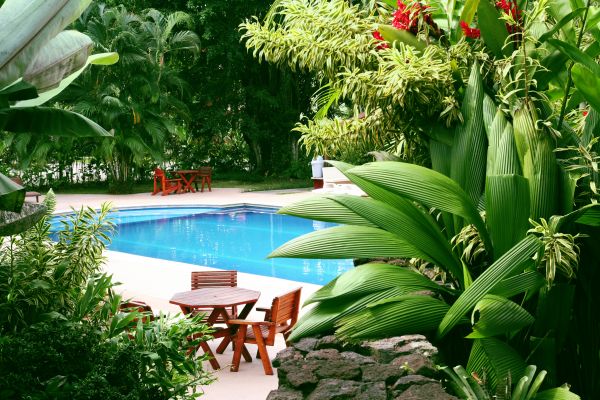 Pool Area Landscaping in Odessa