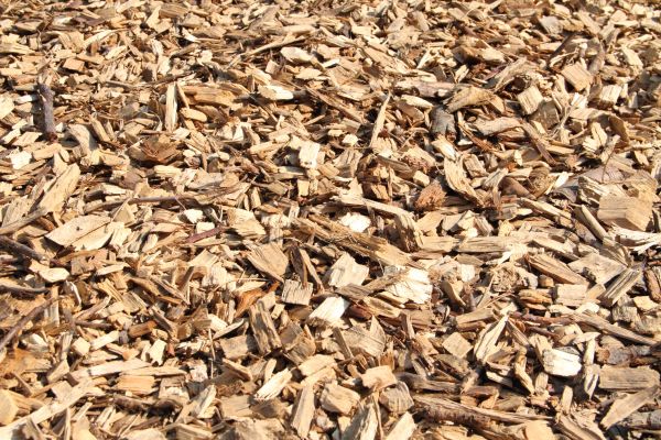 Wood Mulch Delivery in Odessa
