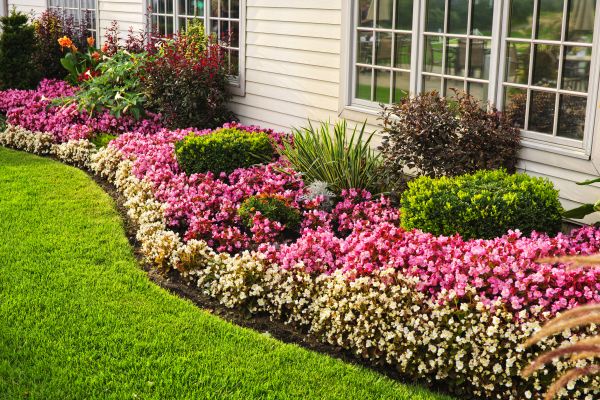 House Landscaping in Odessa