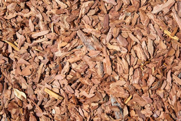 Pine Mulch Delivery in Odessa