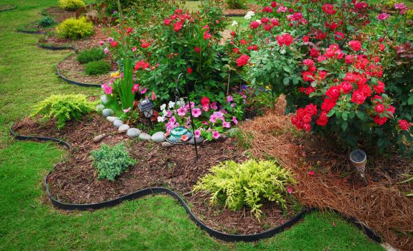 Floral Landscaping in Odessa