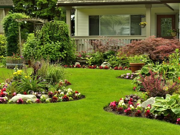 Flower Garden Planting in Odessa