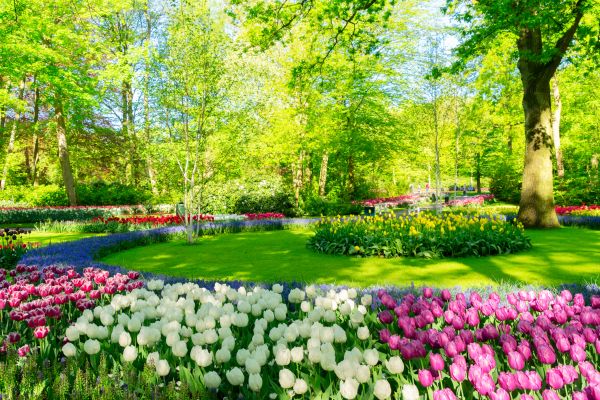 Flower Landscaping in Odessa