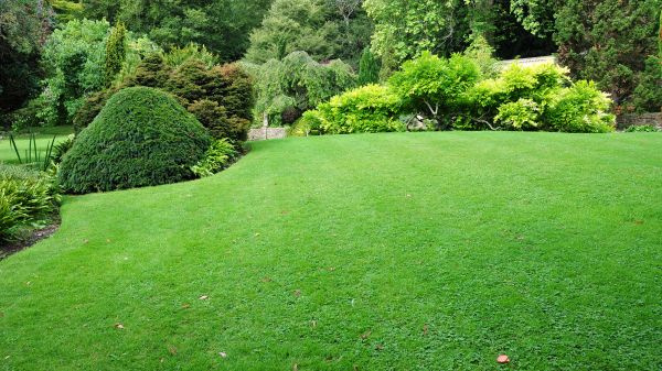 Commercial Landscape Design in Odessa