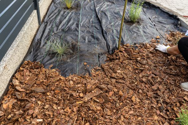 Pine Bark Spreading in Odessa