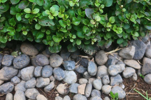 River Stone Installation in Odessa