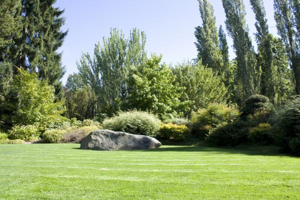 Yard Enlargement in Odessa