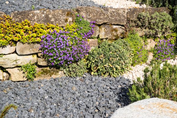 Landscaping Rocks Installation in Odessa