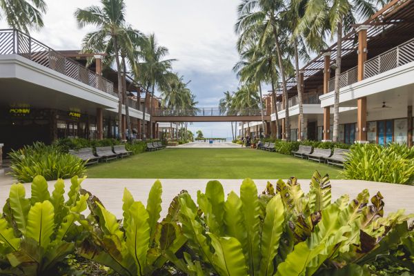 Commercial Lawn Renovation in Odessa