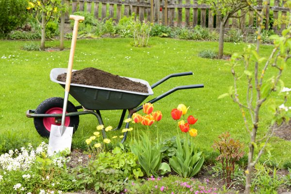 Spring Yard Renovation in Odessa