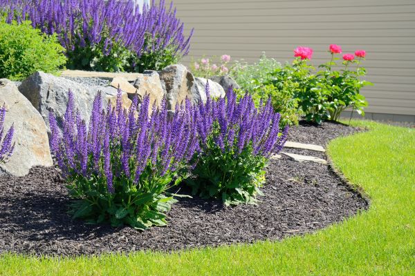 Landscape Planting Service in Odessa