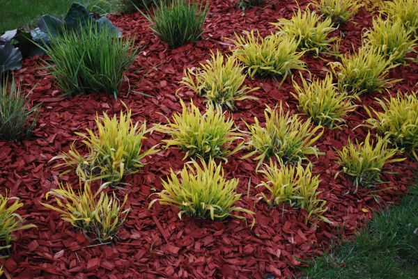 Red Mulch Installation in Odessa