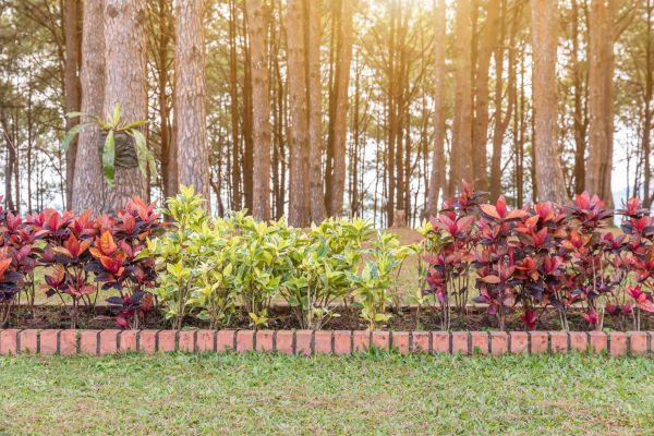 Small Garden Landscaping in Odessa