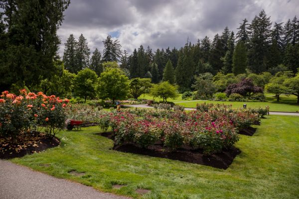 Flower Garden Landscaping in Odessa