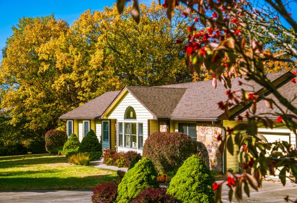 Ranch Landscaping in Odessa